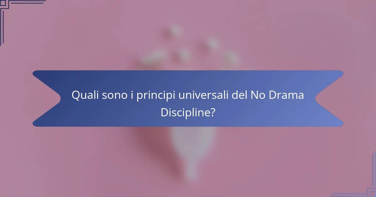 Quali sono i principi universali del No Drama Discipline?